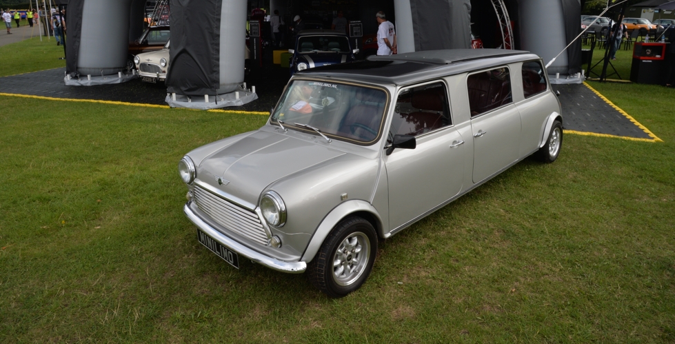 mini-limousine-imm