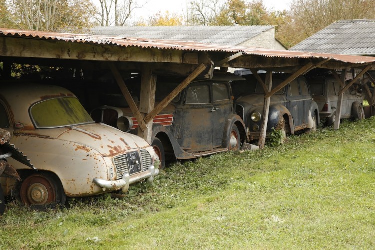 COLECTION BAILLON NIORT 17 / 11 /2014