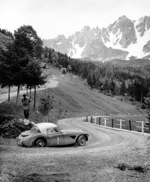 Coupe des Alpes 1962 - Austin Healey