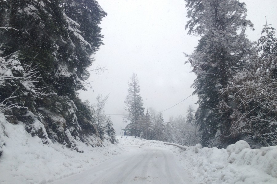 Col de Turini