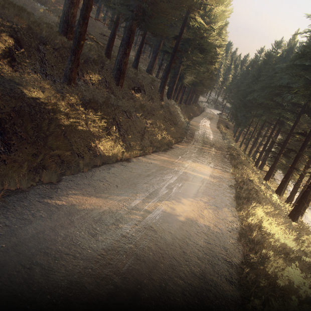 Dirt Rally 2.0, Perth and Kinross Rally & Colin McRae pack : le drame du retard dans les notes
