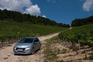 Peugeot 208 GTI Peugeot 208 R2 - Photo : Maxence Pierre / Inside Motorsport