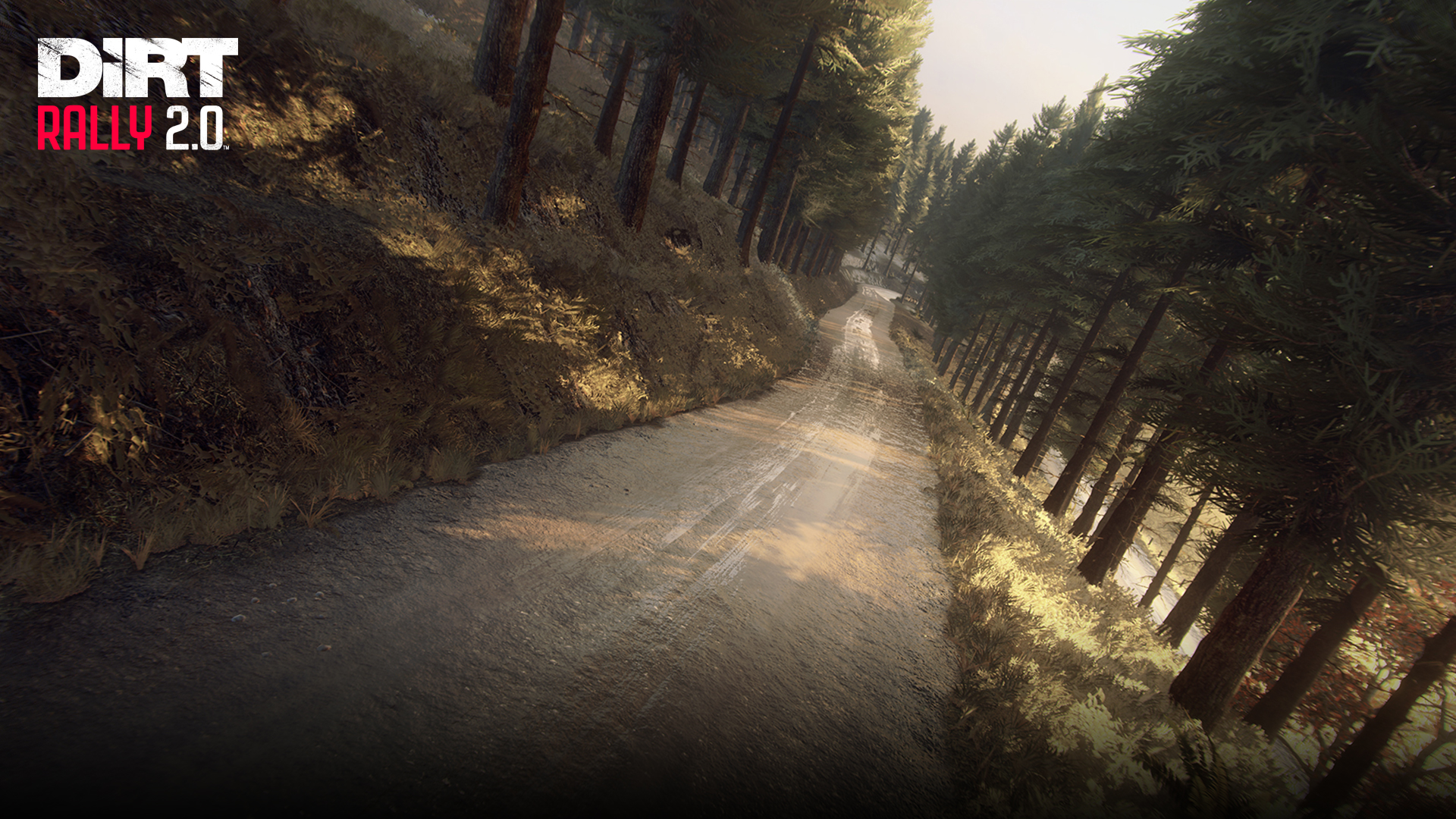 Dirt Rally 2.0, Perth and Kinross Rally & Colin McRae pack : le drame du retard dans les notes