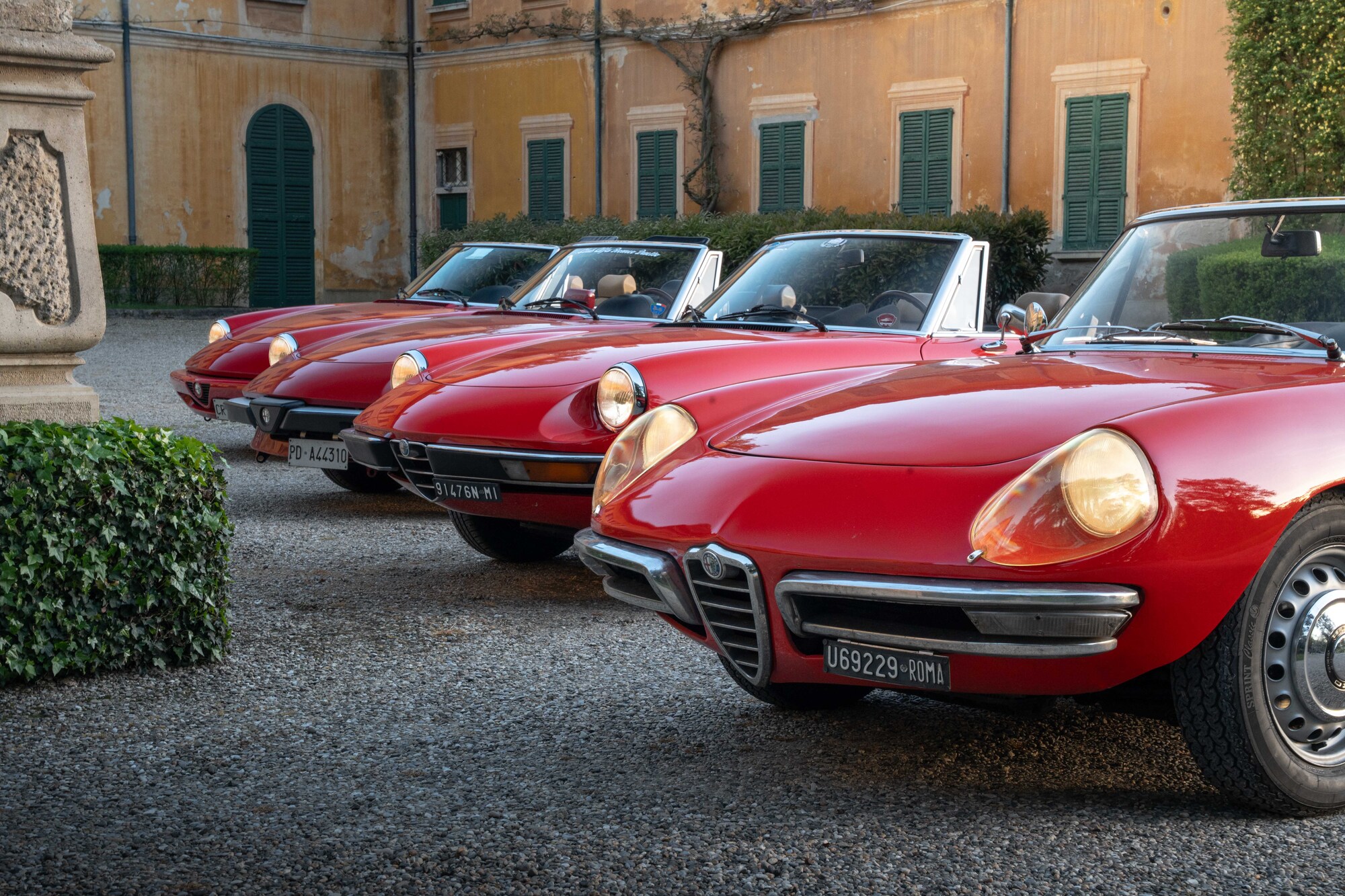 Darwinisme : Alfa Romeo Spider